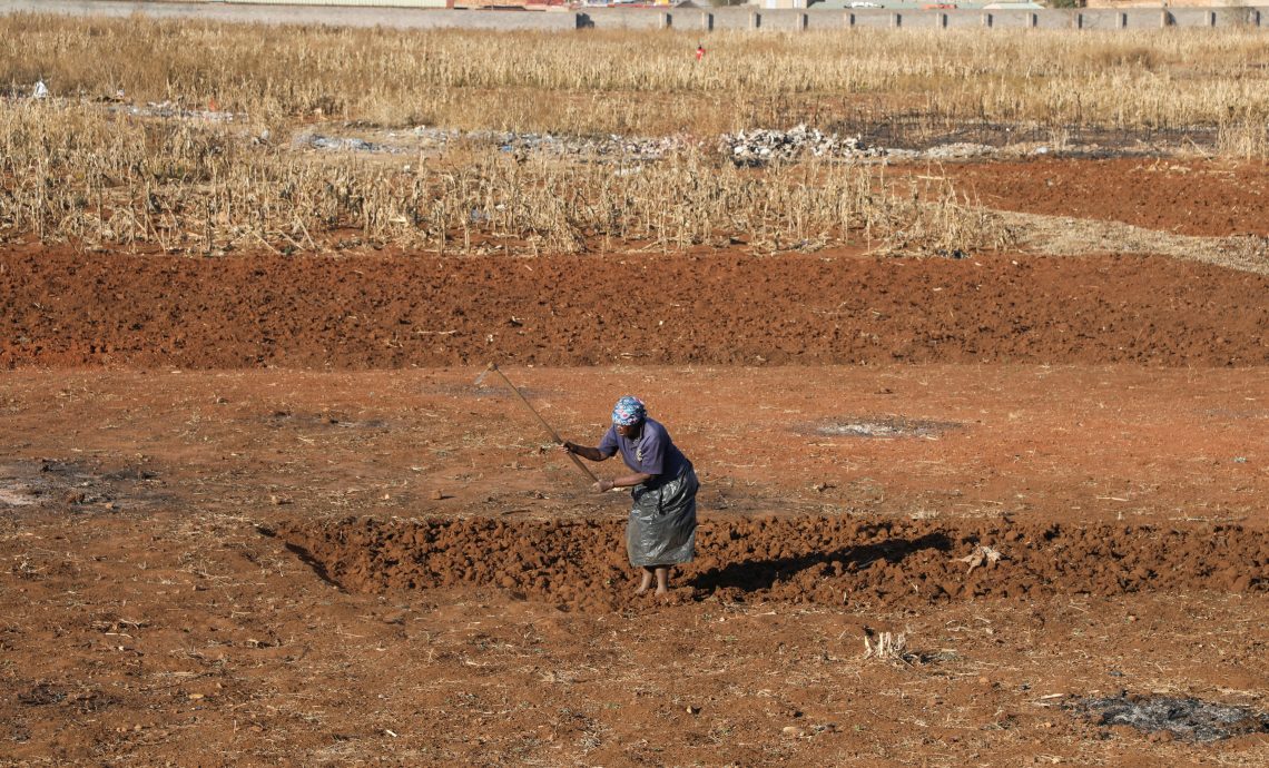 Land Redistribution In South Africa:  Church Leading By Example