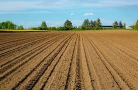 Why the Church is involved in facilitating negotiations between commercial farmers and land reparation beneficiaries