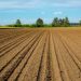 Why the Church is involved in facilitating negotiations between commercial farmers and land reparation beneficiaries