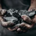 Countries and mining companies that benefited from coal mining in South Africa should pay ecological debt